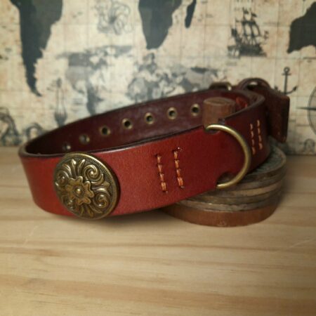 Collier pour chien